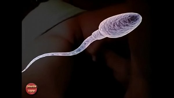 Fucking my step sister in law !