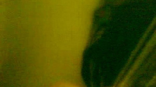 Shower Amateur tease