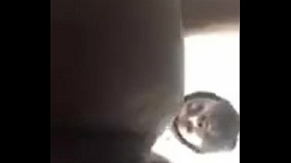 Thick dick deep in wetness