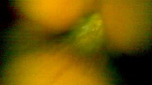 Mi novia muy exitada