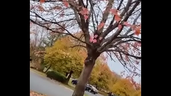 Cuming out for either June or October gay pride month about other gay looking and sounding things I did on social media once 13  