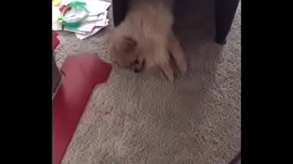 I need to suck and Fuck My StepFather almost everyday  