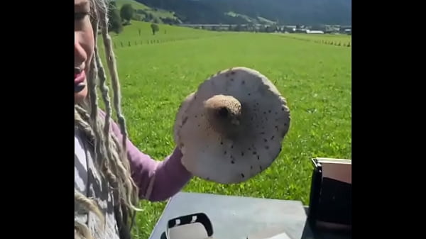 The Austrian Alps&mdash;such an amazing view! ️Where&rsquo;s your favorite mountain escape?#AustrianAlps #MountainMagic...