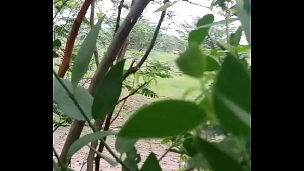 My village ass show pdi