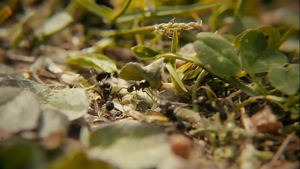 An original series by Cristi&aacute;n Cipriani, ReKonfiguration 9 