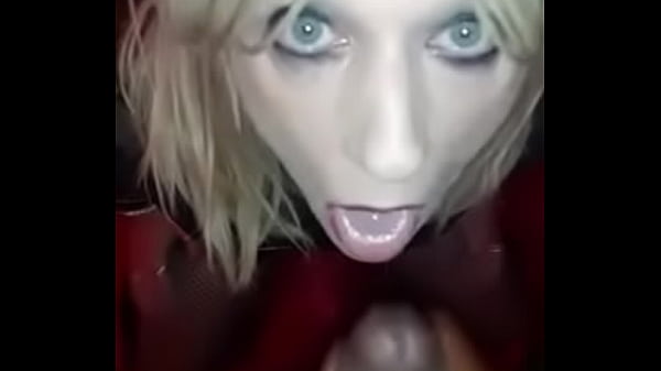 Chienne blanche Francaise pour saillie au sperme de black africain