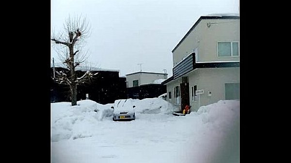 A Japanese pornographic film actor Koseki Naoya fucks his sheep