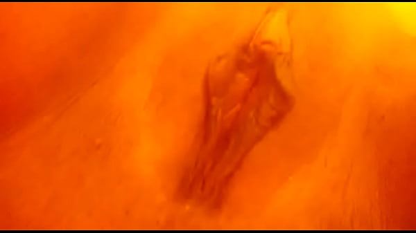 pedi solo una foto,y vaya sorpresa que envio.