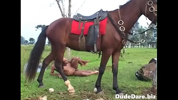 Cowboys fucking outdoors after a thrilling ride