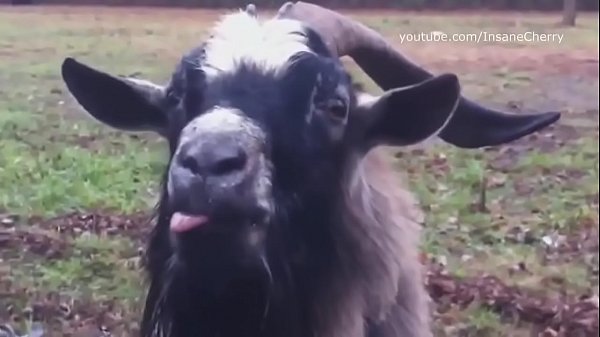 Make It Bun Dem (a. Cover)