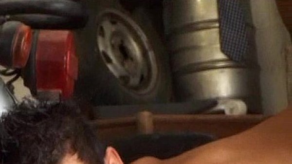 Breeding the Mechanic