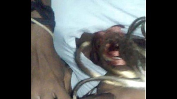 wifey goin ham sucking dick  