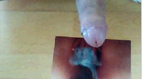 Other tribute to Littlefox for Faszomat