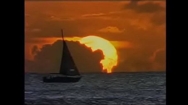 Maydon Voyage Jackiesuave