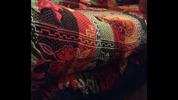 Oso peludo y gordo toc&aacute;ndose  