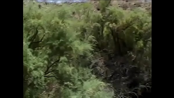 Romantic babe sucks and fucks on the garret with a fine view