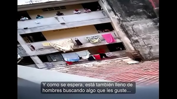 El putero Dynasty en Panama