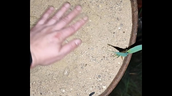 Chastity key burried away  