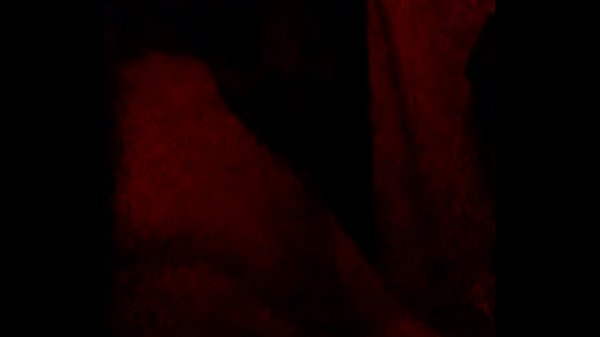 Sloppy Head and Bars 2020 