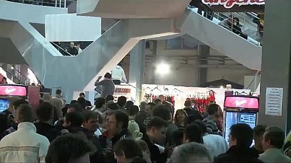 Slutty girls make the crowd go crazy