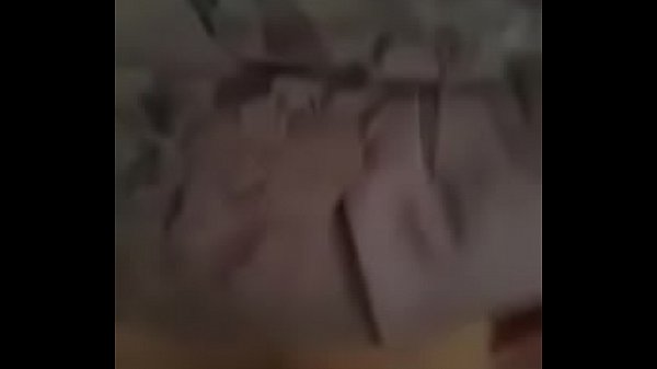 Guatemalian bitch , stamford bitch , 203  