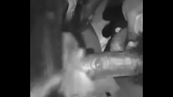 5acfa179-6630-4a90-9005-f83656dcc971