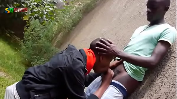 BB africans sweet garden