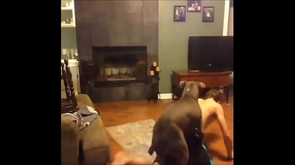 Vadimgods Meet 'n' Fuck games of newgrounds. Censored 