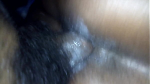 Wet ebony 19