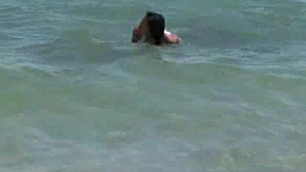 Cat In The Sand And Surf