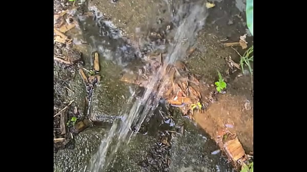 Tiatinkles - Outside Tinkles - IMG 2891 - Aug 12, 2025