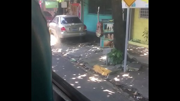 Paja en el bus desestresante  