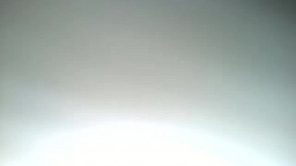 big dick gator going ham 