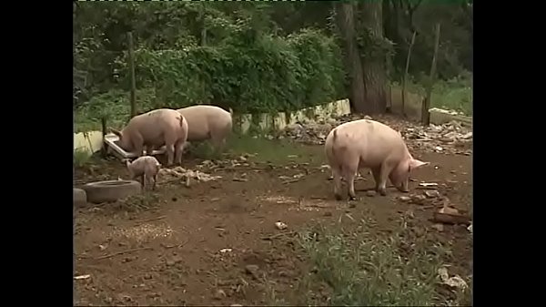 Outdoor sex: dirty things to do on the sly Vol. 24