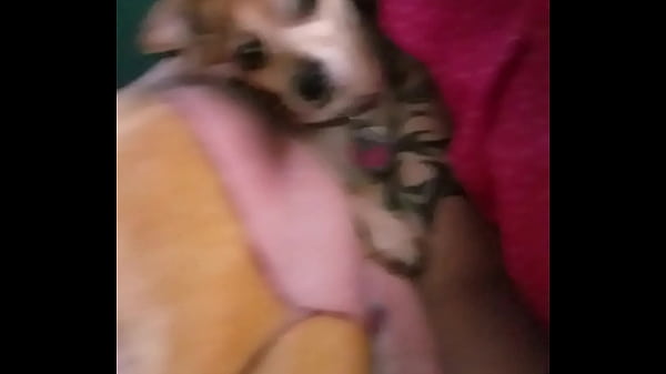 Ssbbw jacking me off in her room