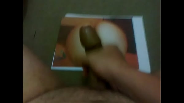 Max2212 para Raposinha