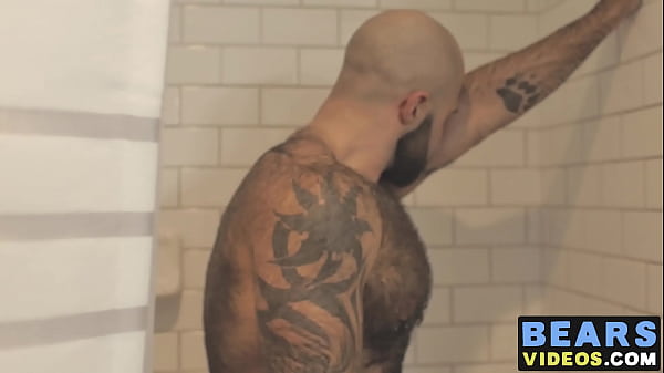 Hairy bear washes his fur while wanking 