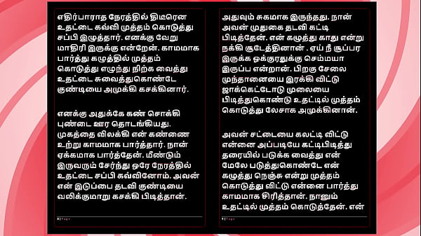 Tamil Sex Story - Auditor Aiysha's Sex Experiences part 3  