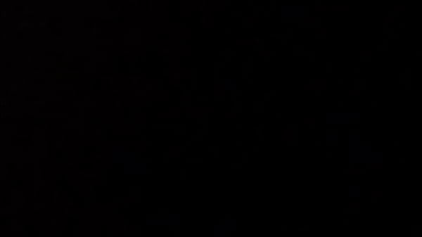 Sonidos ricos de la noche  