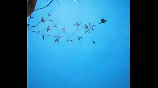 Lilia cachonda quiere verga