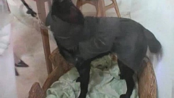 Dutch MILF From The Netherlands