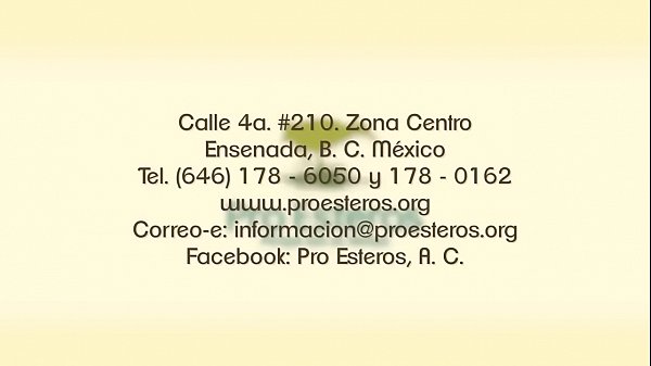 HOLA GENTE CONOZCAMEN