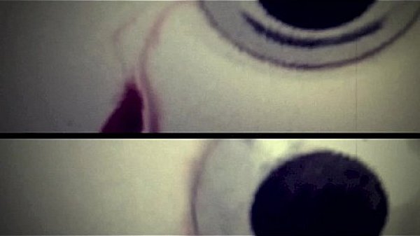 Nature Morte con D'Alema Attorno