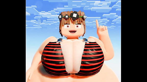 V&iacute;deo de verifica&ccedil;&atilde;o