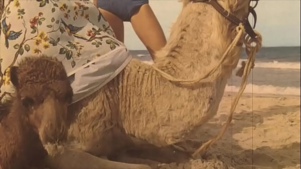 'Beauty & The Beast', My Secret Life  