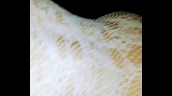 Esposa de lingerie sex