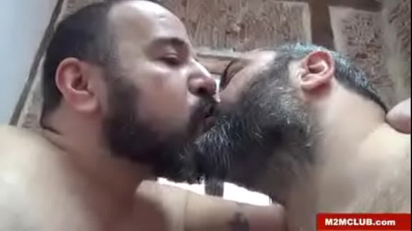 os tr&ecirc;s grandes ursos