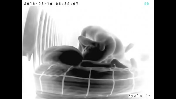 Husband at work while wife fucks h. sr