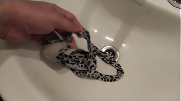 Qui&eacute;n quiere chupa la tanga de mi mujer