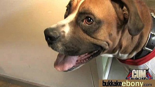 Ebony Gang bang and CUM FEEDING 11